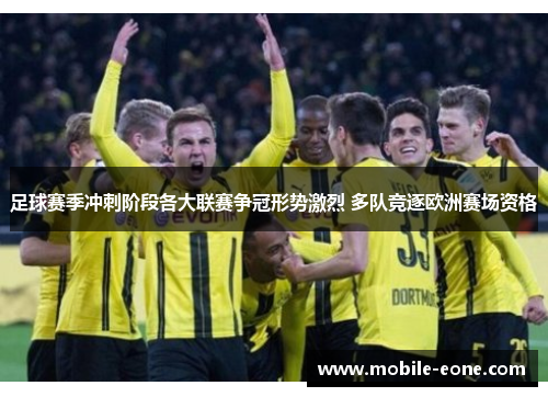 足球赛季冲刺阶段各大联赛争冠形势激烈 多队竞逐欧洲赛场资格 足球赛季冲刺阶段各大联赛争冠形势激烈 多队竞逐欧洲赛场资格