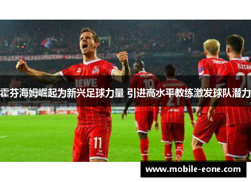霍芬海姆崛起为新兴足球力量 引进高水平教练激发球队潜力 霍芬海姆崛起为新兴足球力量 引进高水平教练激发球队潜力