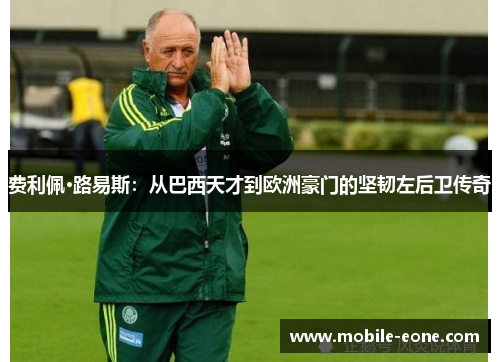 费利佩·路易斯:从巴西天才到欧洲豪门的坚韧左后卫传奇 费利佩·路易斯:从巴西天才到欧洲豪门的坚韧左后卫传奇