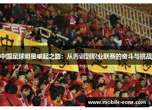中国足球明星崛起之路:从青训到职业联赛的奋斗与挑战 中国足球明星崛起之路:从青训到职业联赛的奋斗与挑战