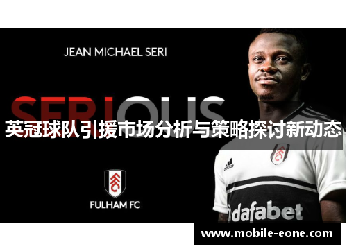 英冠球队引援市场分析与策略探讨新动态 英冠球队引援市场分析与策略探讨新动态