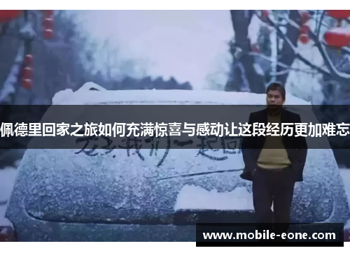 佩德里回家之旅如何充满惊喜与感动让这段经历更加难忘 佩德里回家之旅如何充满惊喜与感动让这段经历更加难忘