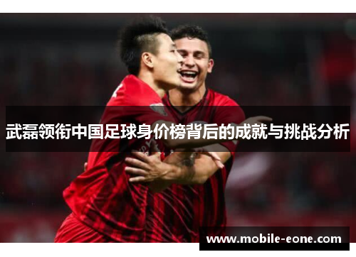 武磊领衔中国足球身价榜背后的成就与挑战分析 武磊领衔中国足球身价榜背后的成就与挑战分析