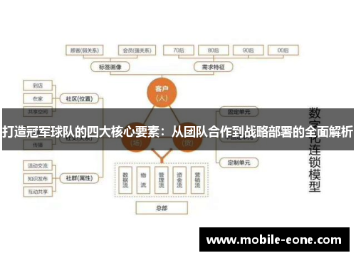 打造冠军球队的四大核心要素：从团队合作到战略部署的全面解析