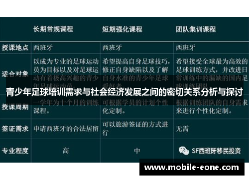 青少年足球培训需求与社会经济发展之间的密切关系分析与探讨 青少年足球培训需求与社会经济发展之间的密切关系分析与探讨