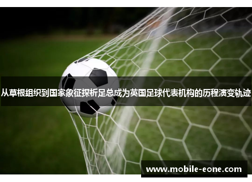 从草根组织到国家象征探析足总成为英国足球代表机构的历程演变轨迹