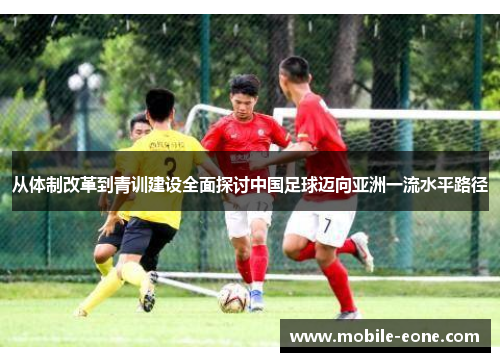 从体制改革到青训建设全面探讨中国足球迈向亚洲一流水平路径