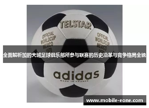 全面解析加的夫城足球俱乐部所参与联赛的历史沿革与竞争格局全貌