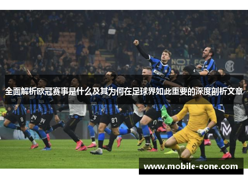 全面解析欧冠赛事是什么及其为何在足球界如此重要的深度剖析文章 全面解析欧冠赛事是什么及其为何在足球界如此重要的深度剖析文章