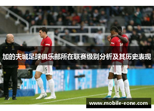 加的夫城足球俱乐部所在联赛级别分析及其历史表现