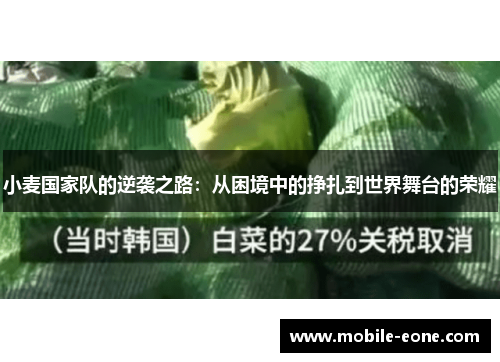 小麦国家队的逆袭之路：从困境中的挣扎到世界舞台的荣耀