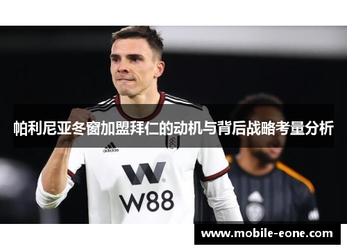 帕利尼亚冬窗加盟拜仁的动机与背后战略考量分析