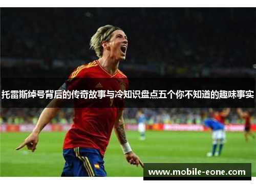 托雷斯绰号背后的传奇故事与冷知识盘点五个你不知道的趣味事实